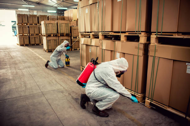 Best Commercial Pest Control Services  in Lomita, CA