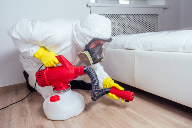 Best Emergency Pest Control  in Lomita, CA
