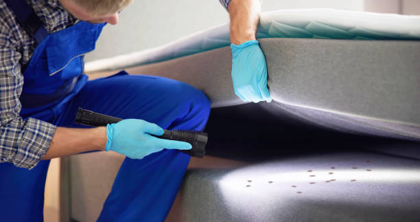Best Termite Control Services  in Lomita, CA